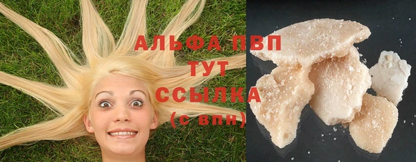 молекула духа Балахна