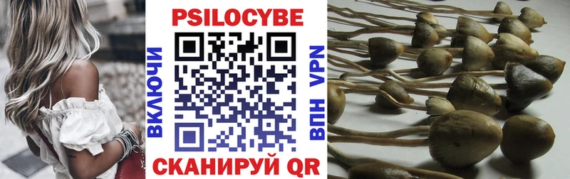 Псилоцибиновые грибы прущие грибы  Купить закладки  Лыткарино 